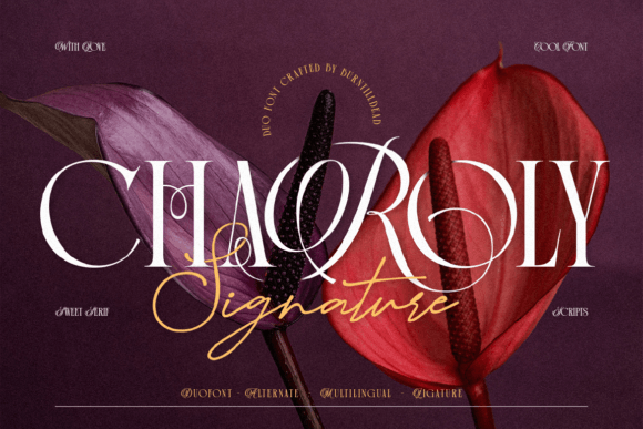 Charoly Signature: A Serif Review for Branding